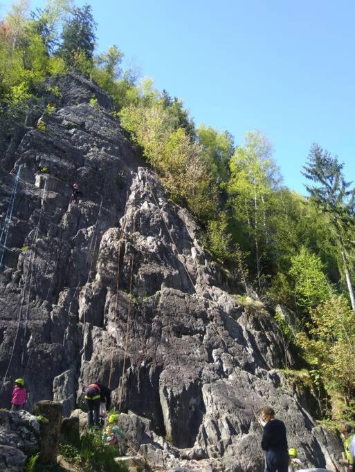 Chalet L'Ilet Ensoleille /Sunny Island Chalet Chamonix Mont Blanc Exterior foto