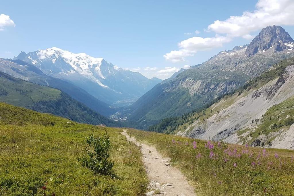 Chalet L'Ilet Ensoleille /Sunny Island Chalet Chamonix Mont Blanc Exterior foto
